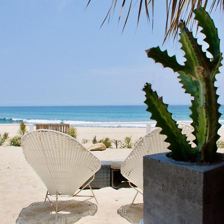 Rustico Lounge - Property In Front Of The Beach San José del Cabo Dış mekan fotoğraf