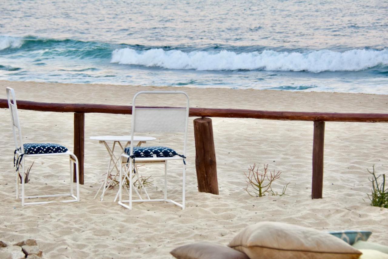 Rustico Lounge - Property In Front Of The Beach San José del Cabo Dış mekan fotoğraf