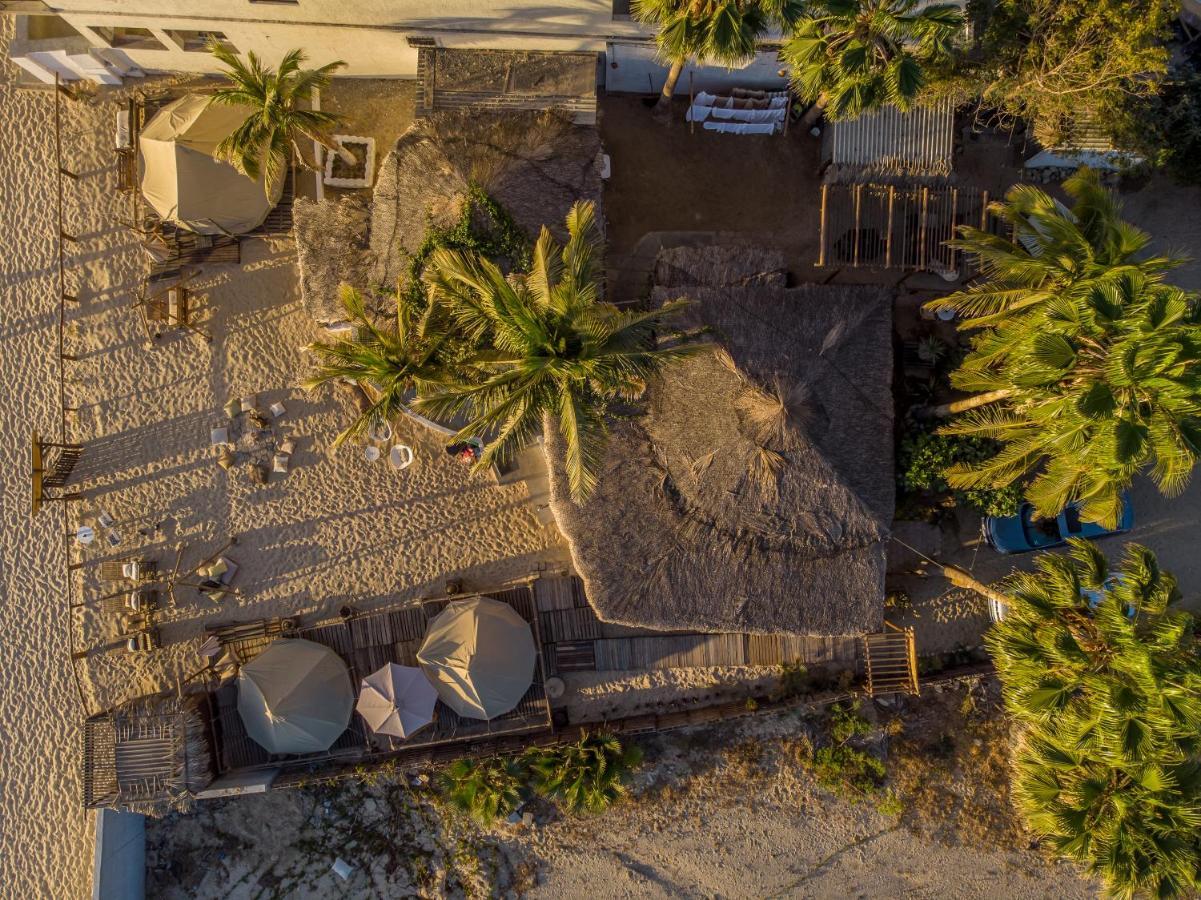 Rustico Lounge - Property In Front Of The Beach San José del Cabo Dış mekan fotoğraf